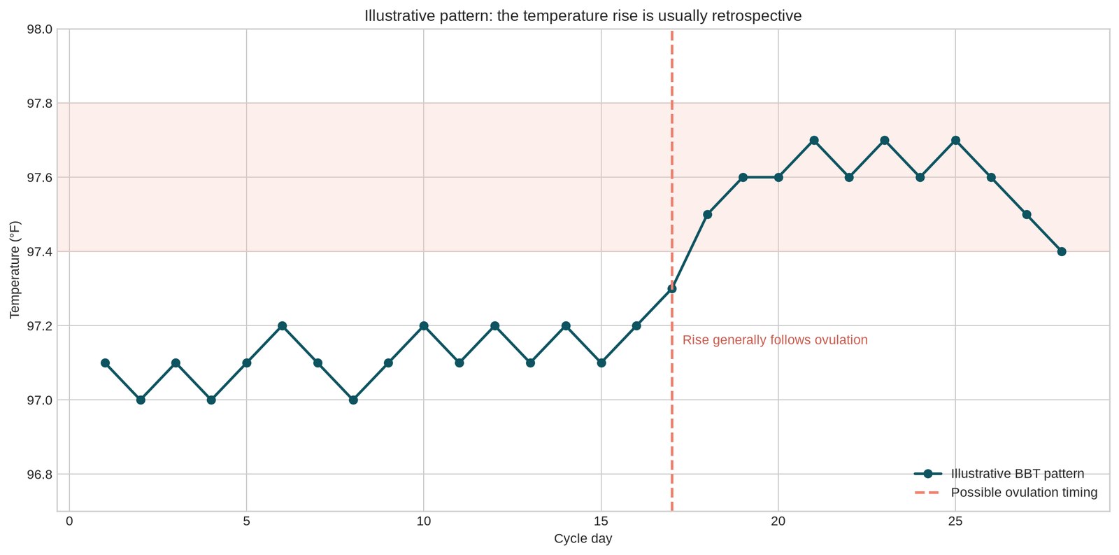 Illustrative basal body temperature chart showing a rise after possible ovulation.